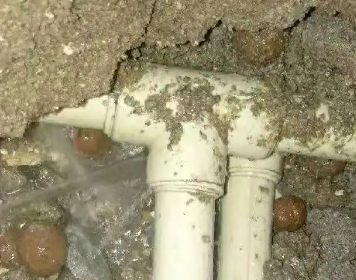 让胡路测漏水多少钱