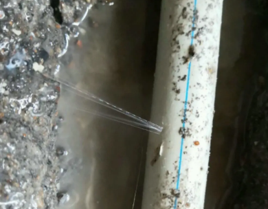 让胡路测漏水哪家好