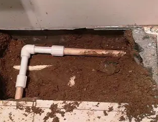 让胡路测漏水哪家好