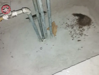 让胡路卫生间测漏水价格明细