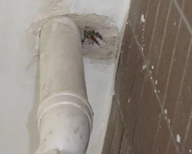 让胡路漏水检测哪家好